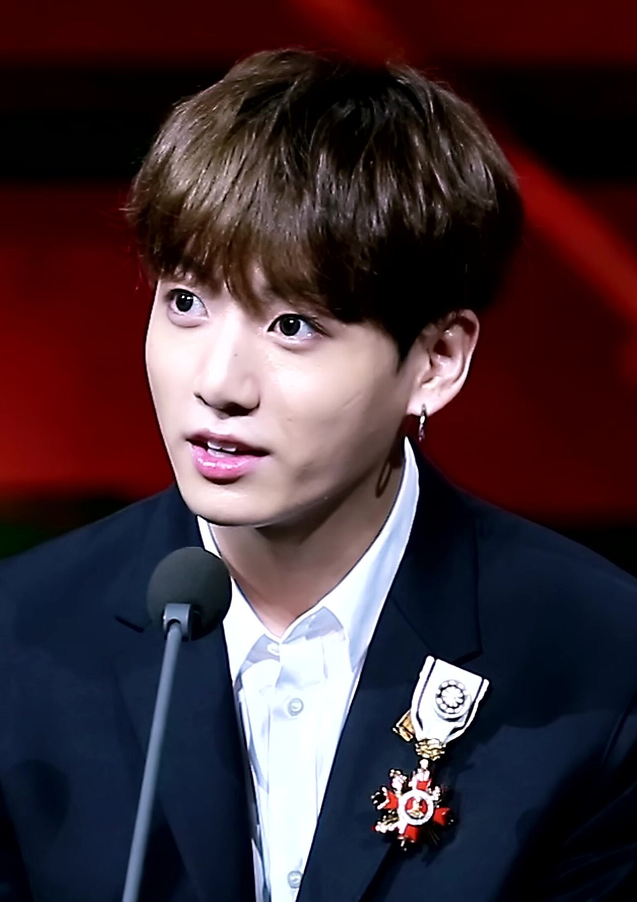 Jung Kook de BTS recibiendo la Orden al Mérito Cultural en 2018